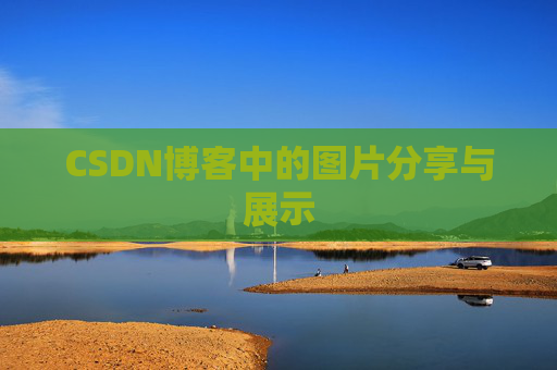 CSDN博客中的图片分享与展示